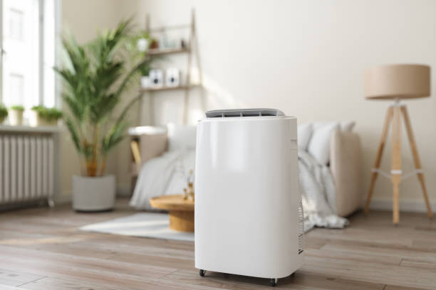 Best HVAC Air Duct Cleaning  in Pine Valley, CA